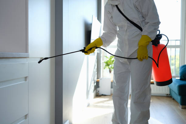 Best Toxic Mold Removal  in Walnut Creek, CA