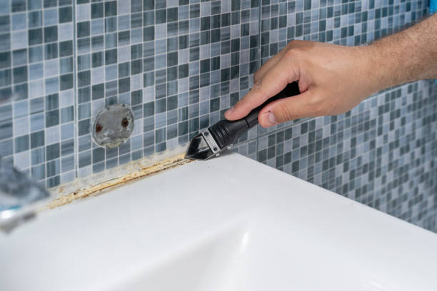 Best Mold Testing  in Walnut Creek, CA
